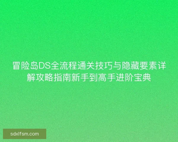 冒险岛DS全流程通关技巧与隐藏要素详解攻略指南新手到高手进阶宝典